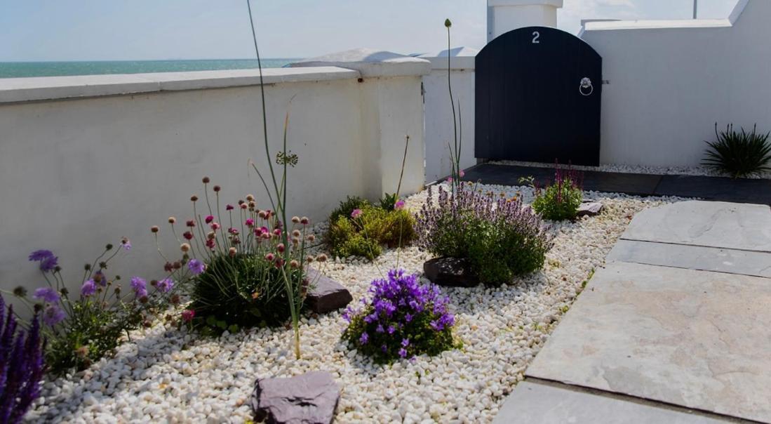 Beach View, 4 Bedroom House Opposite The Sea! Sleeps 10 Sandgate Eksteriør bilde
